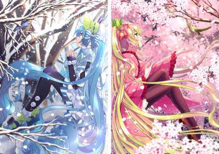 HD PC desktop wallpaper featuring anime-style Vocaloid characters Hatsune Miku in winter and a pink-themed counterpart surrounded by cherry blossoms.