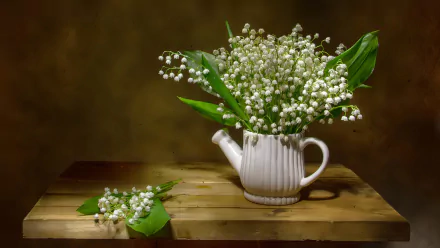 white flower photography still life HD Desktop Wallpaper | Background Image