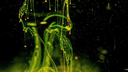 Abstract green abstract green HD Desktop Wallpaper | Background Image