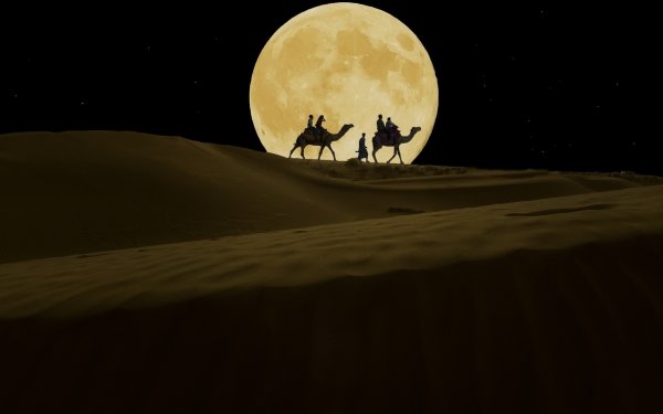 Photography Caravan Moon Desert Night Bedouin Camel HD Wallpaper | Background Image
