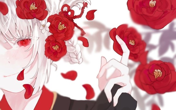 Anime Girl Red Eyes Braid HD Wallpaper | Background Image
