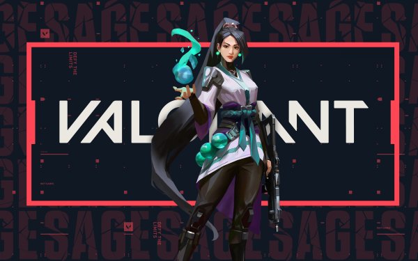 Video Game Valorant Sage HD Wallpaper | Background Image
