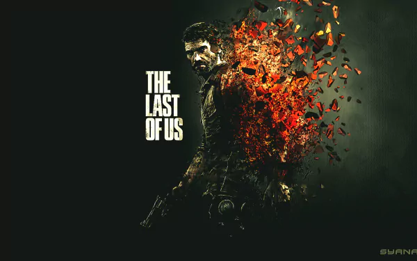  The Last Of Us joel