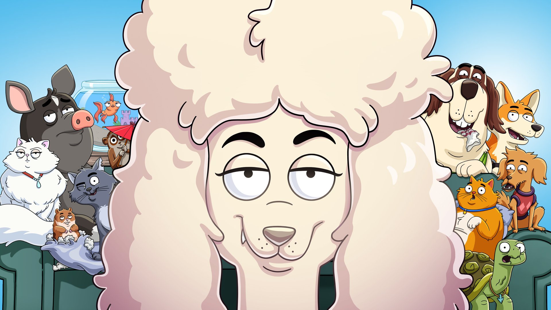 Download TV Show Housebroken 4k Ultra HD Wallpaper