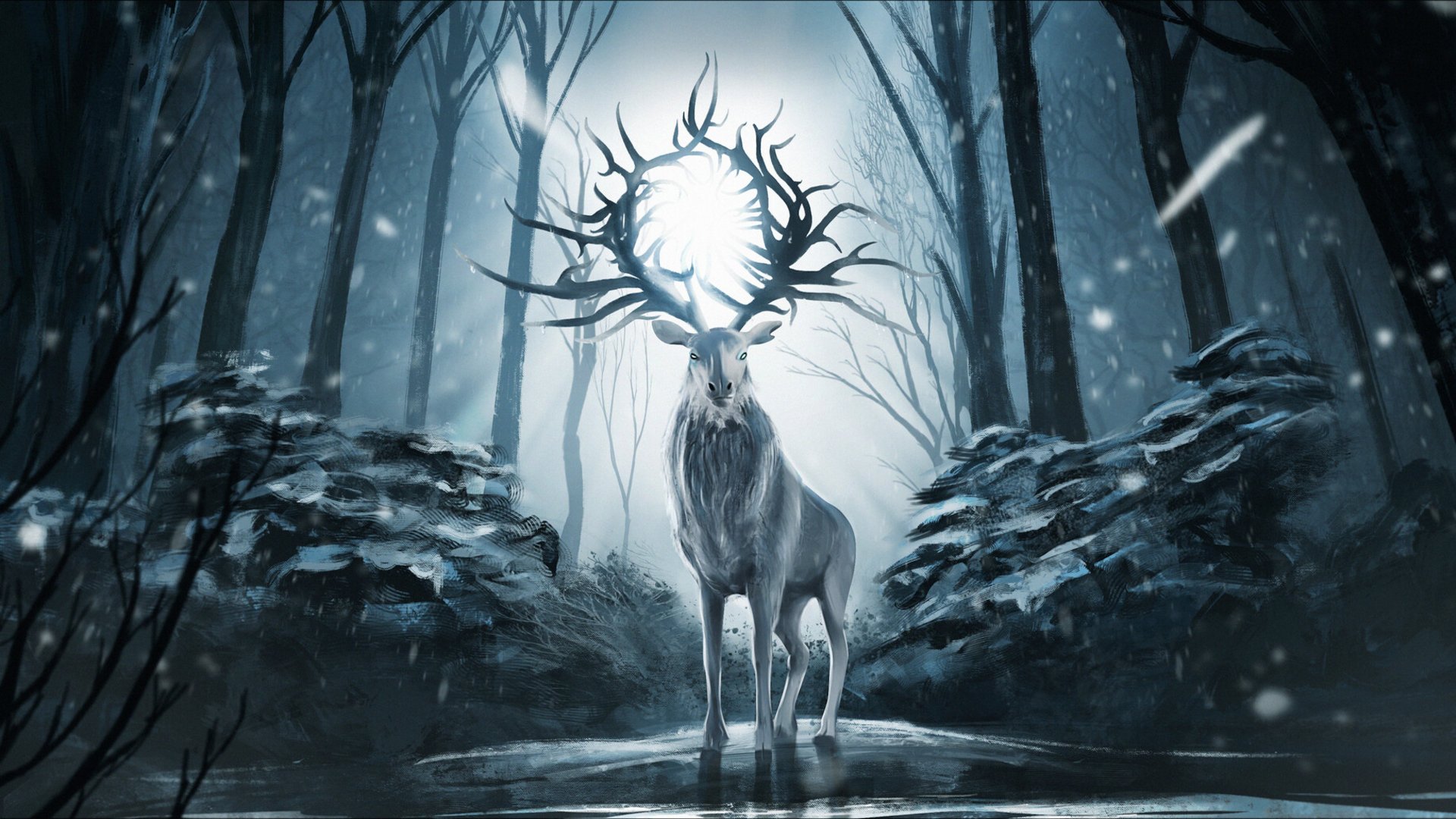 Shadow And Bone HD Wallpaper | Background Image | 1920x1080