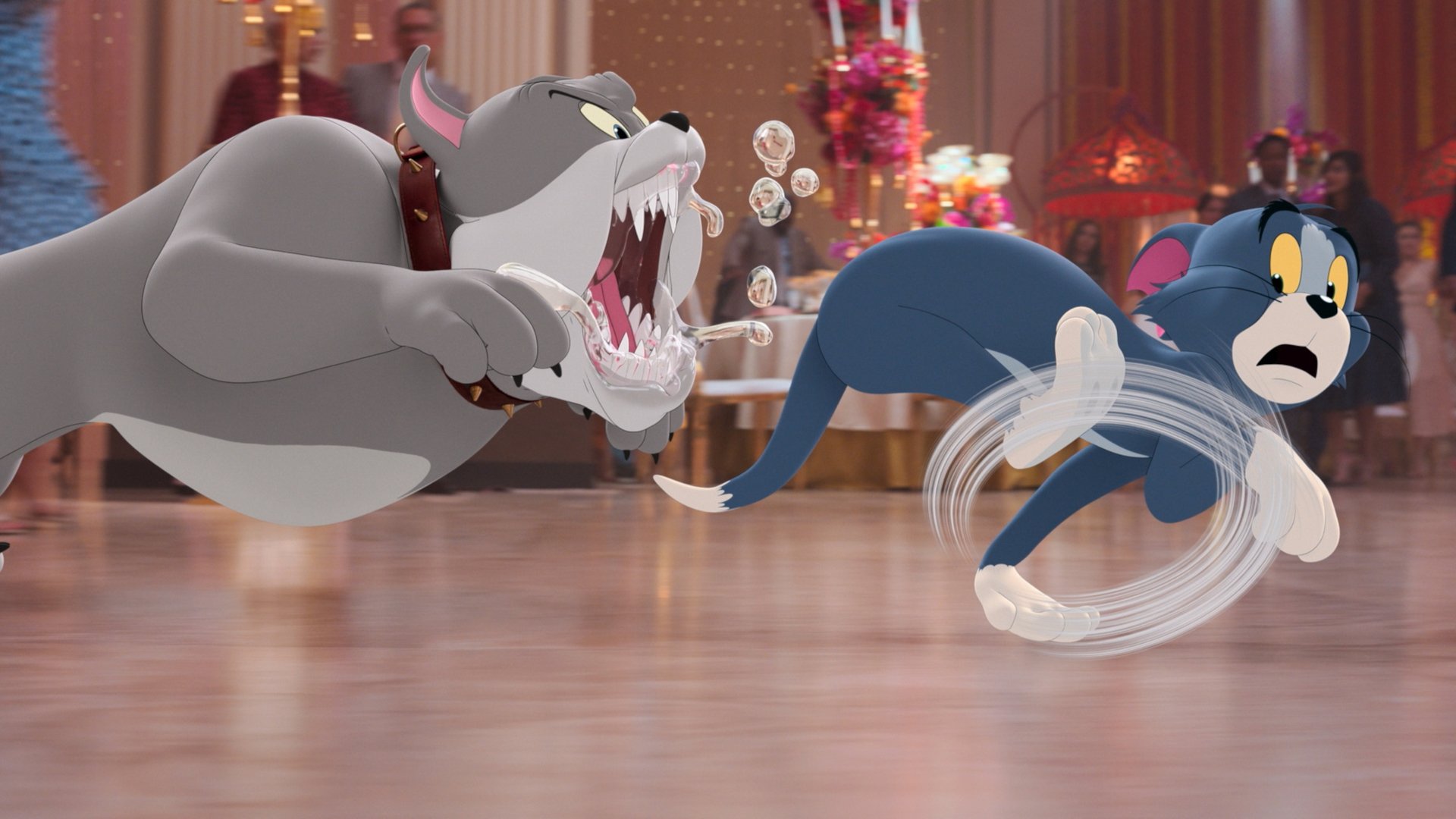 Download Spike (Tom And Jerry) Tom (Tom And Jerry) Movie Tom & Jerry HD Wallpaper