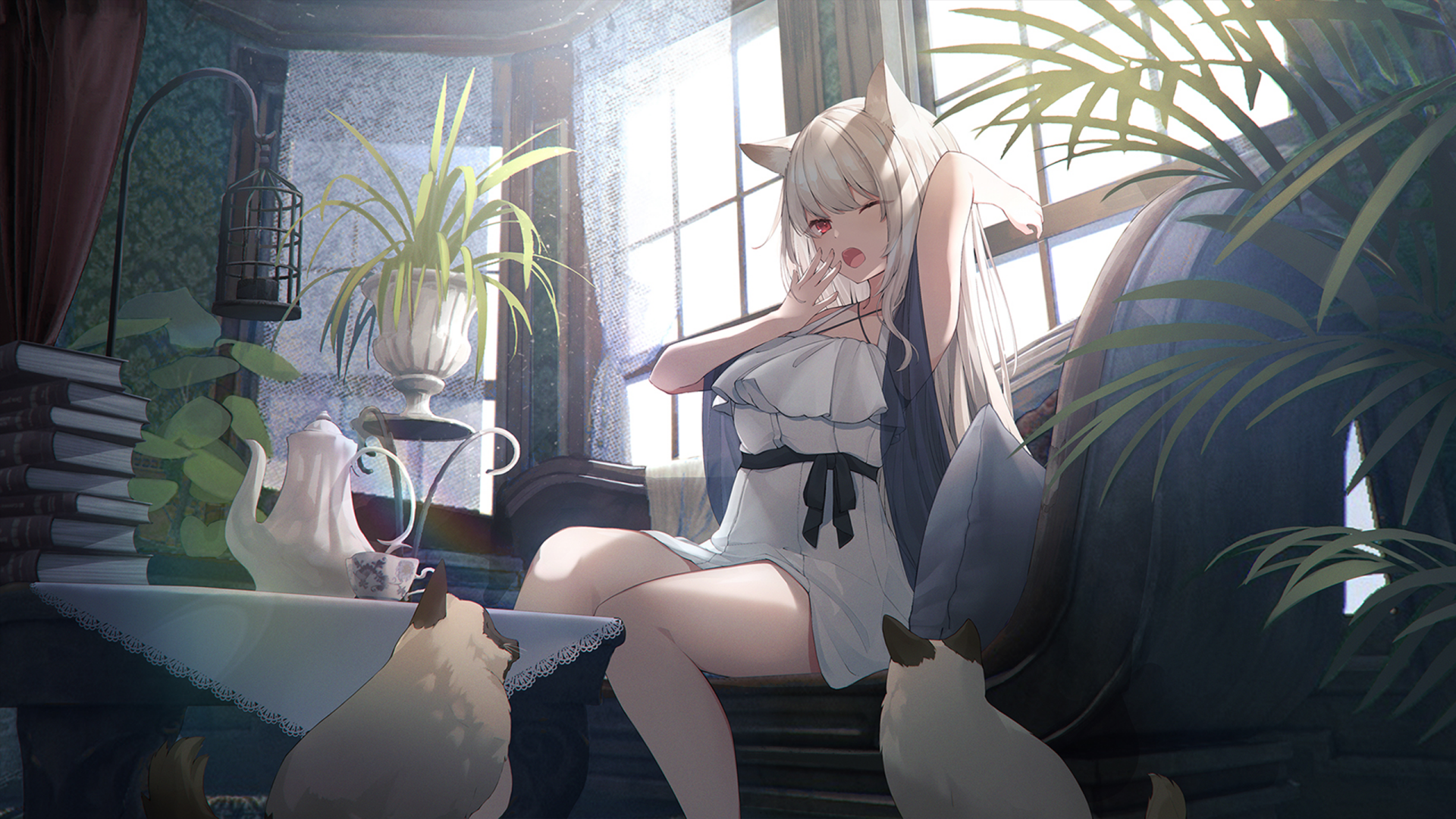 Download Dress Animal Ears White Hair Cat Anime Girl Anime Girl Anime Cat HD Wallpaper