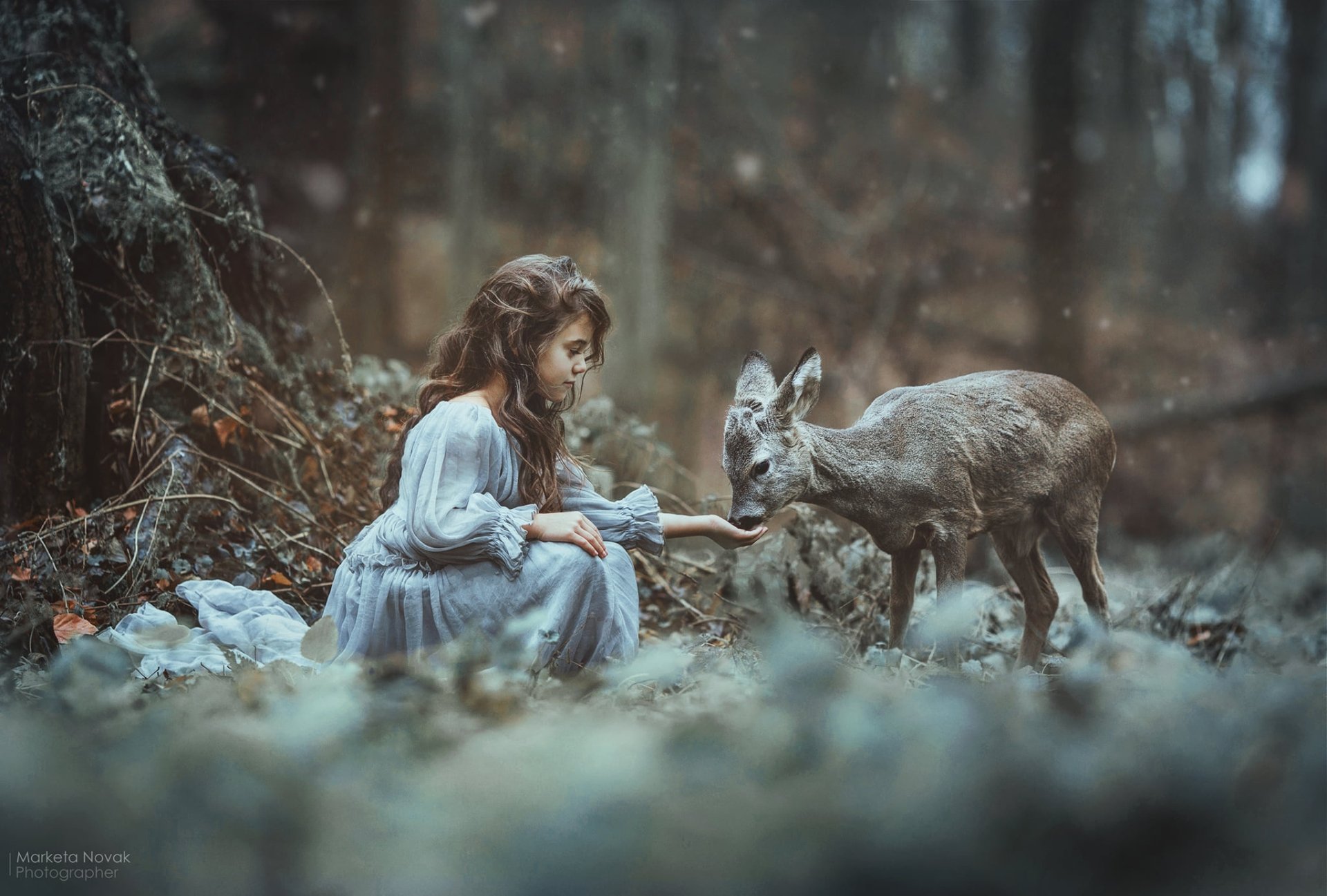 Download Deer Baby Animal Little Girl Photography Child HD Wallpaper by Marketa Novak