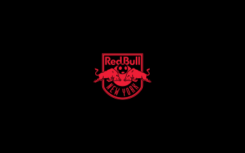 100 Red Bull Hd Wallpapers Background Images