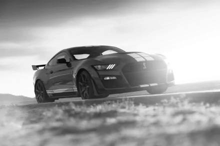 muscle car Black & White car Ford Mustang Shelby Ford vehicle Ford Mustang Shelby GT500 HD Desktop Wallpaper | Background Image