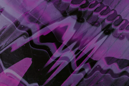 Abstract pink HD Desktop Wallpaper | Background Image