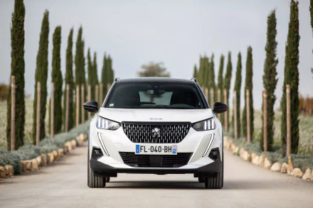  White 2019 Peugeot 2008 GT Line