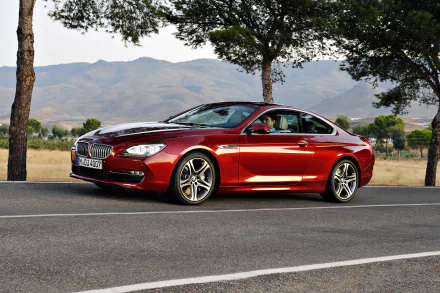  Red BMW 650i Coupé Worldwide (F13)
