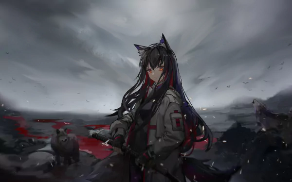 Texas from Arknights stands with her katana, black long hair, orange eyes, and wolf ears against a dark, stormy background in this HD PC desktop wallpaper.