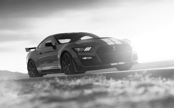 muscle car Black & White car Ford Mustang Shelby Ford vehicle Ford Mustang Shelby GT500 HD Desktop Wallpaper | Background Image