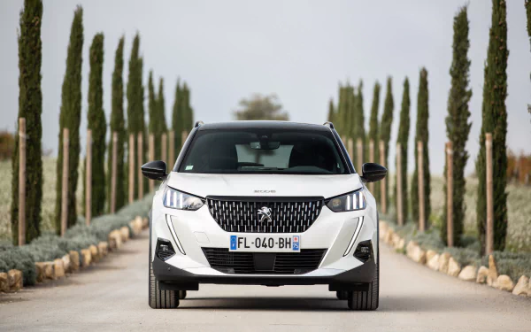  White 2019 Peugeot 2008 GT Line