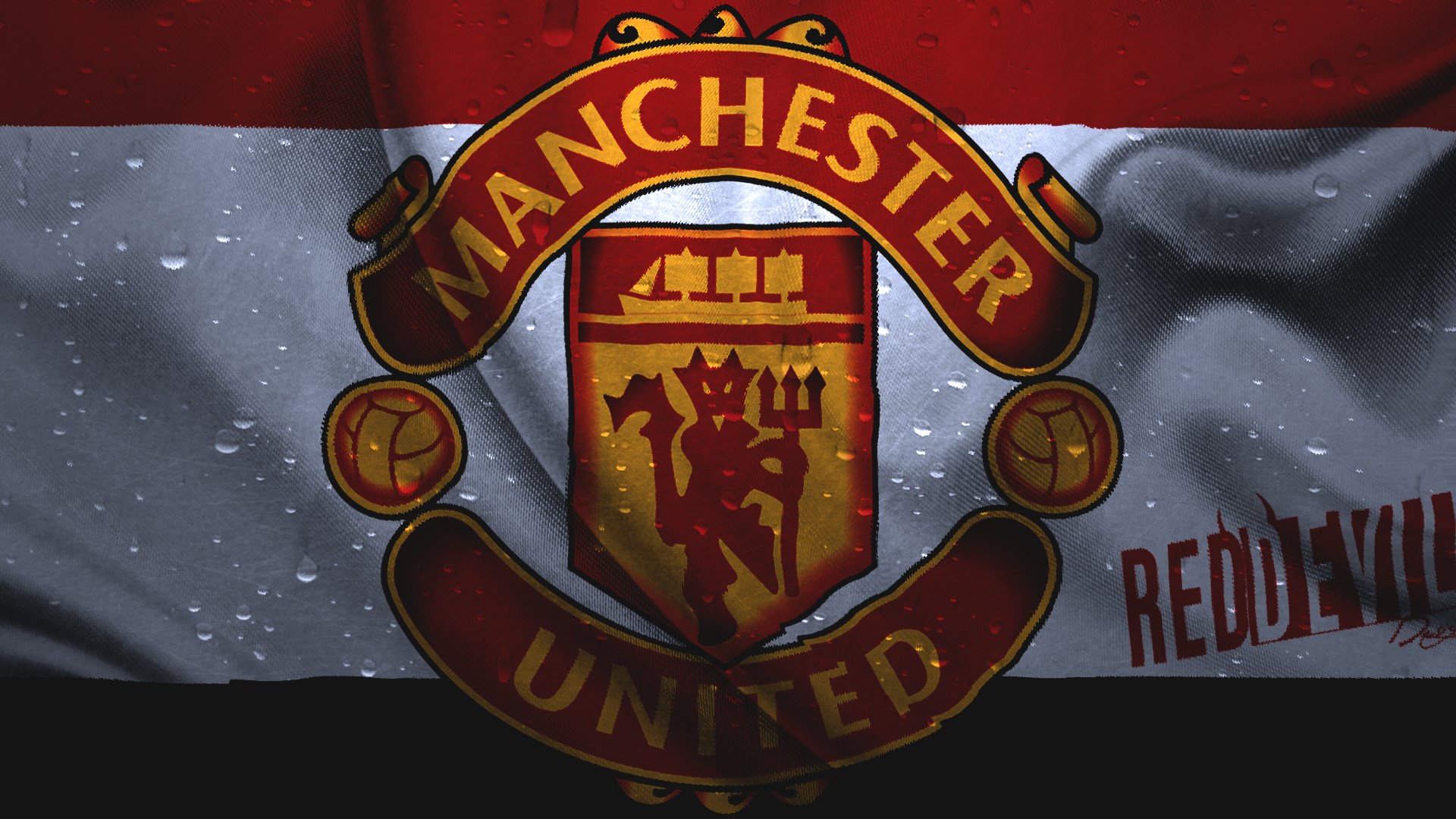 Download Soccer Emblem Logo Manchester United F.C. Sports HD Wallpaper