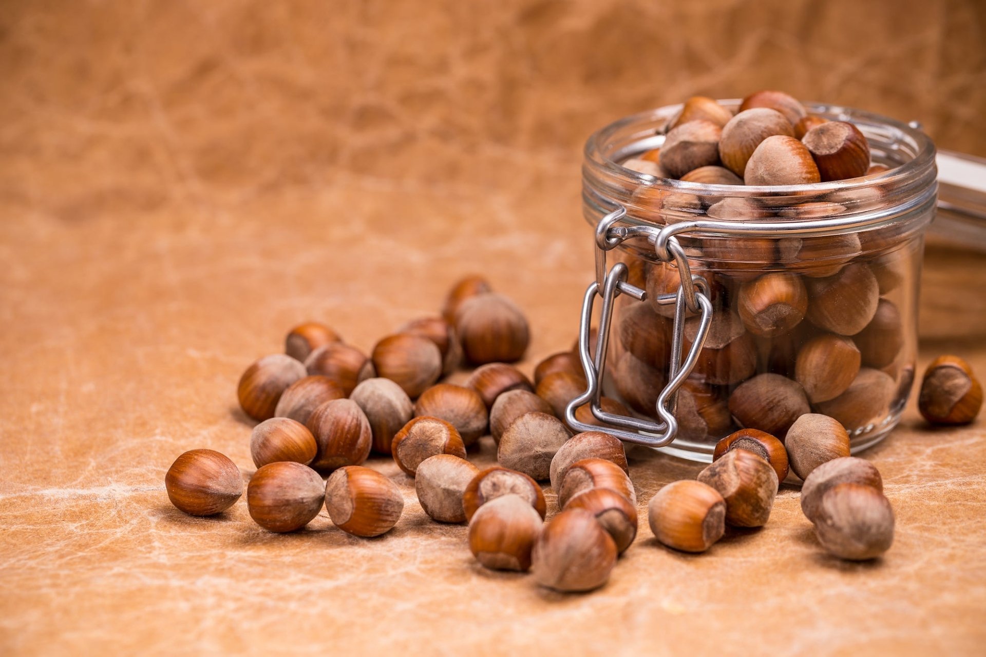 Download Nut Food Hazelnut HD Wallpaper