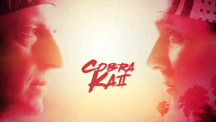 Ralph Macchio Daniel LaRusso TV Show Cobra Kai HD Desktop Wallpaper | Background Image