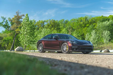  2021 Purple Porsche Panamera Turbo S (971)