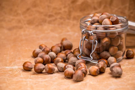nut food hazelnut HD Desktop Wallpaper | Background Image