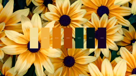  Flowers color palette