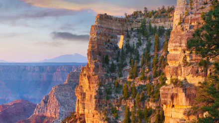  Angels Window on the North Rim of the Grand Canyon, Arizona, USA by Tim Fitzharris