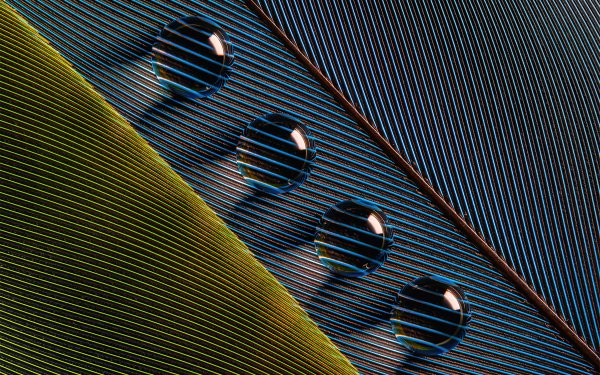 Photography Macro Water Drop HD Wallpaper | Background Image