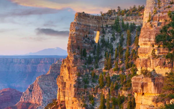  Angels Window on the North Rim of the Grand Canyon, Arizona, USA by Tim Fitzharris