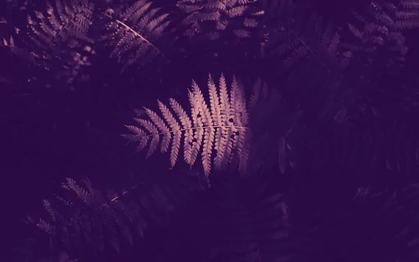  Fern Frond