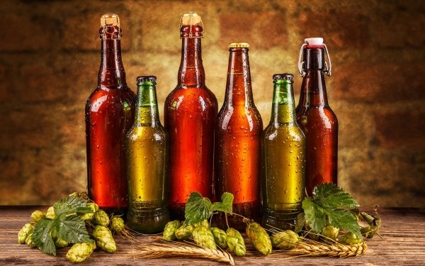 Food Beer Bottle Still Life Alcohol HD Wallpaper | Background Image