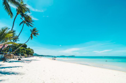 photography beach HD Desktop Wallpaper | Background Image