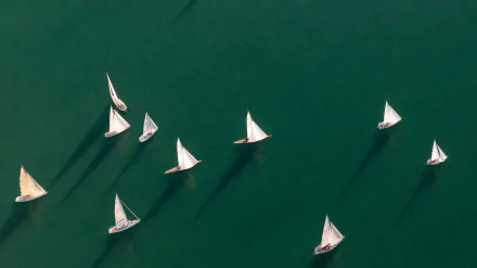  Aerial view of sailing boats by Westend61