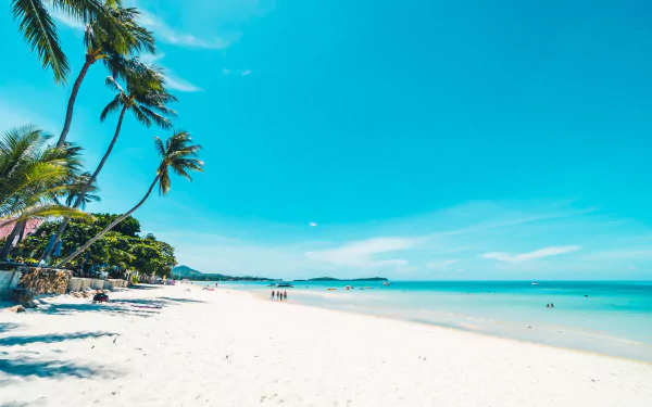 photography beach HD Desktop Wallpaper | Background Image