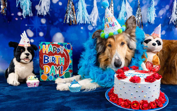 birthday Animal dog HD Desktop Wallpaper | Background Image