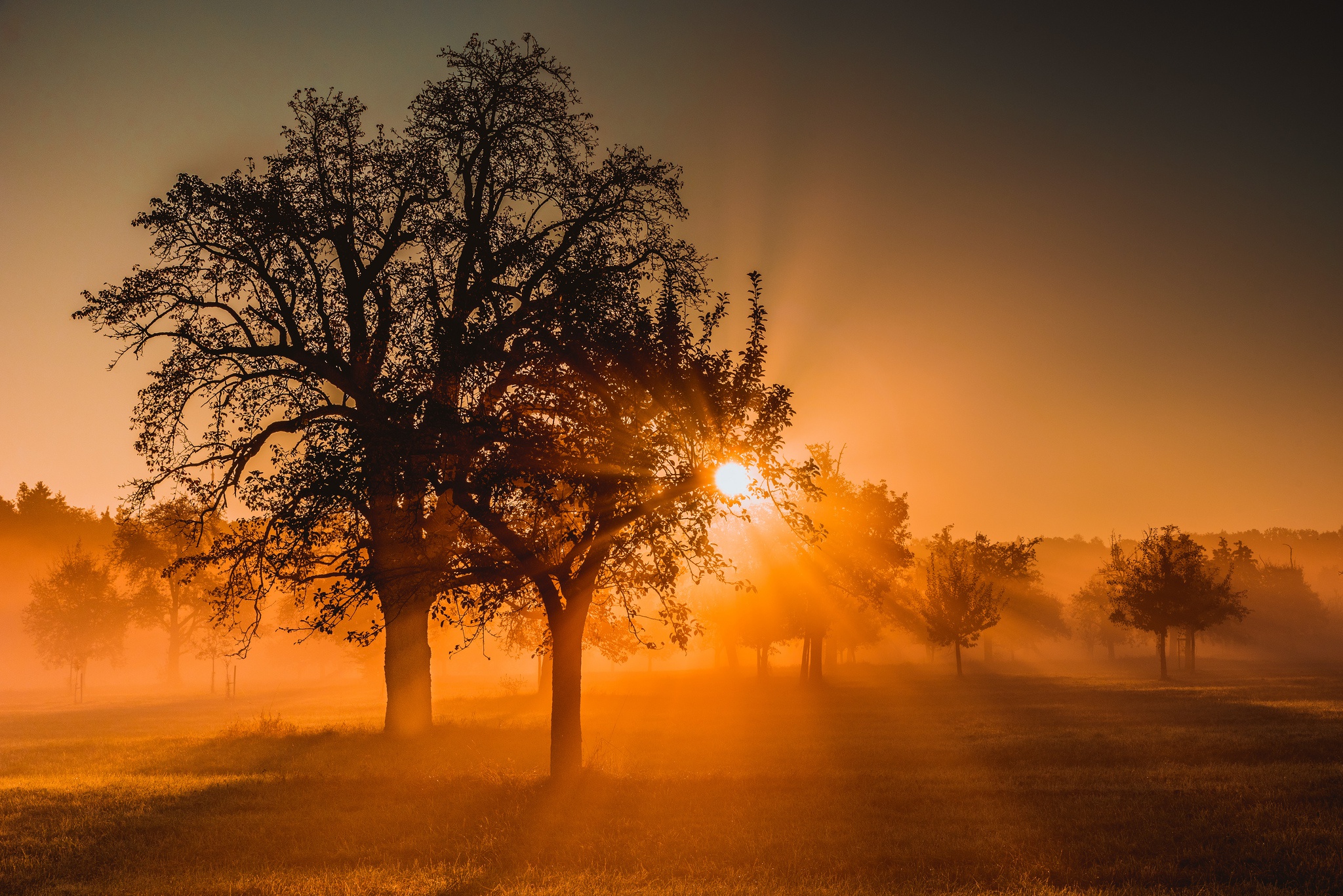 Download Sunbeam Nature Sunrise HD Wallpaper