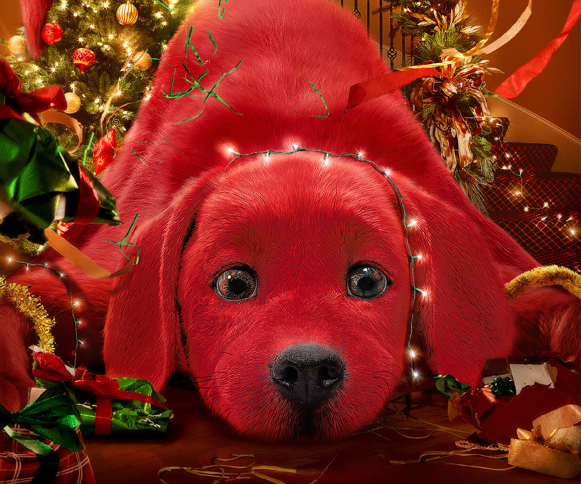 10+ Clifford the Big Red Dog HD Wallpapers and Backgrounds