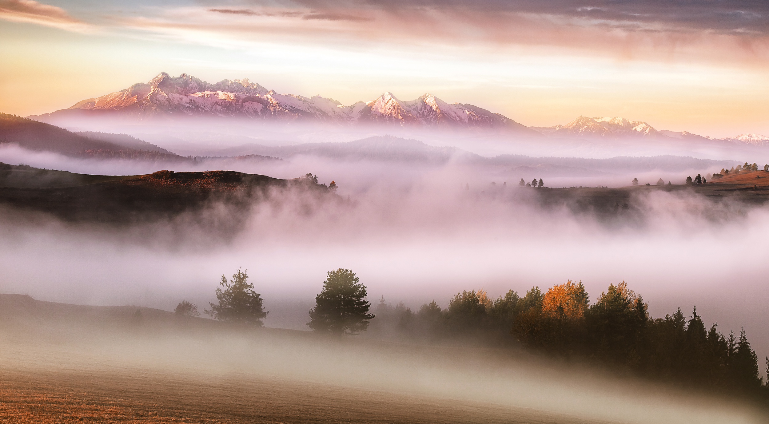 Download Landscape Nature Fog HD Wallpaper
