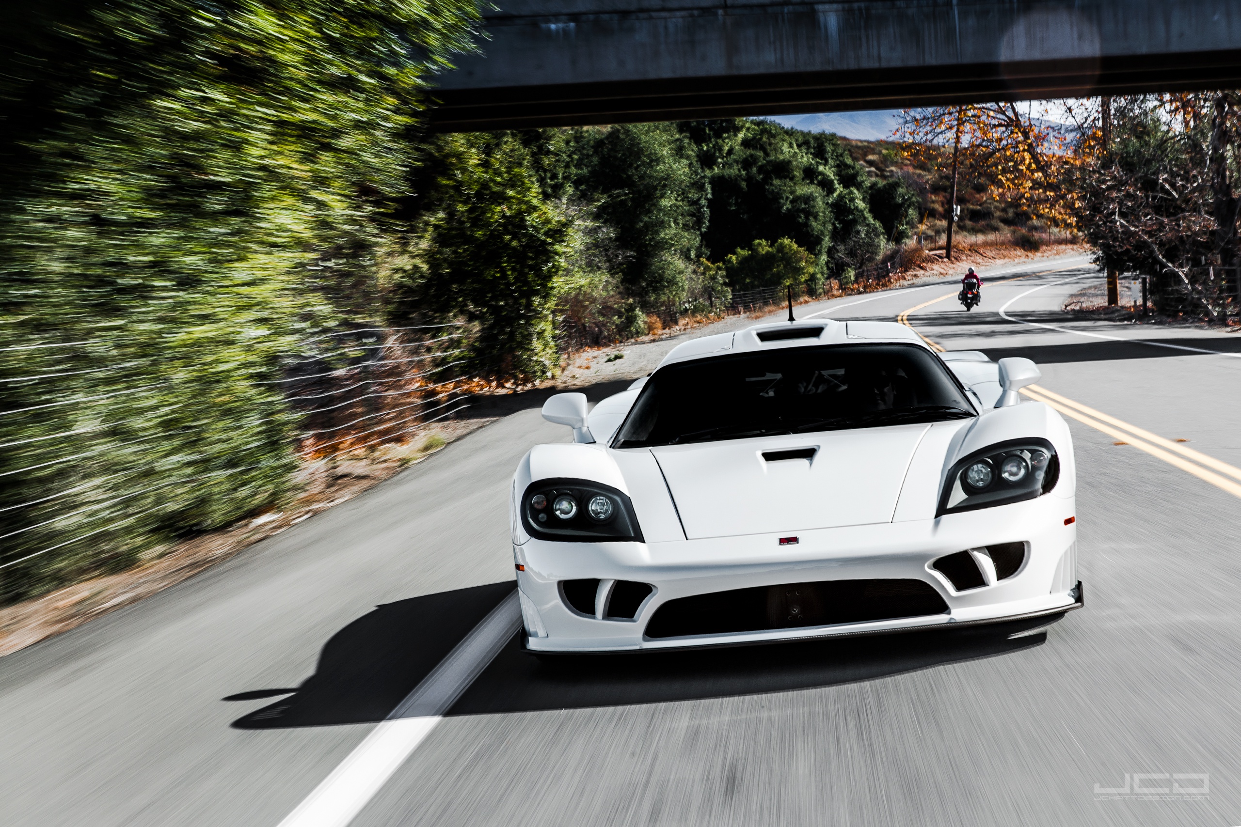 2008 Saleen S302 Extreme #232618 - Best quality free high resolution car  images - mad4wheels
