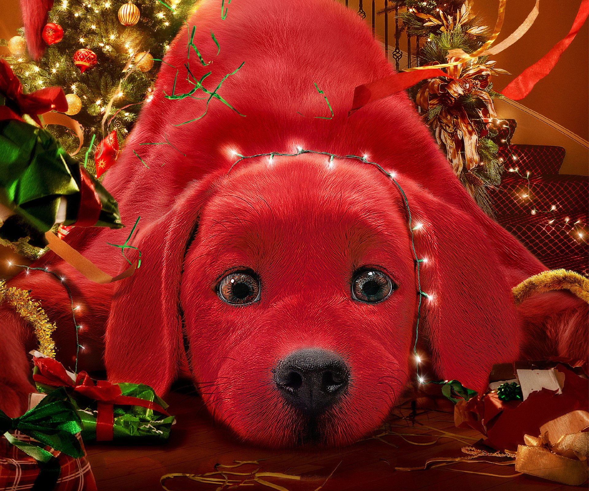 Download Dog Movie Clifford The Big Red Dog HD Wallpaper