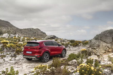 SUV Kia Sportage 1.6 T-GDI GT Line vehicle Kia Sportage HD Desktop Wallpaper | Background Image