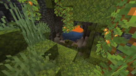  A 1.18 Lush Cave