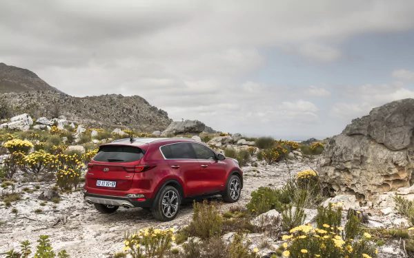 SUV Kia Sportage 1.6 T-GDI GT Line vehicle Kia Sportage HD Desktop Wallpaper | Background Image