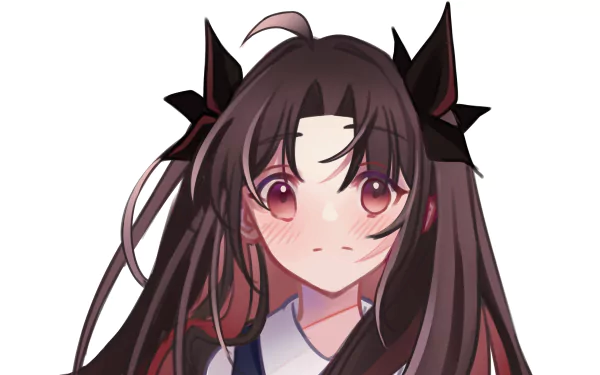 Rin Tohsaka Anime Fate/Grand Order HD Desktop Wallpaper | Background Image