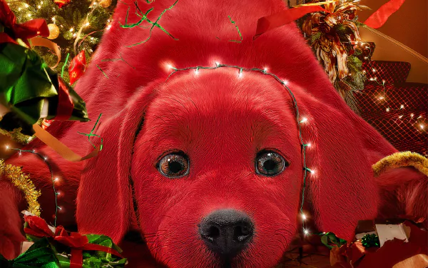 dog movie Clifford the Big Red Dog HD Desktop Wallpaper | Background Image