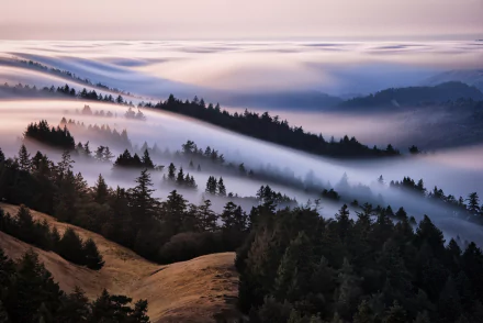 sea of clouds nature fog HD Desktop Wallpaper | Background Image