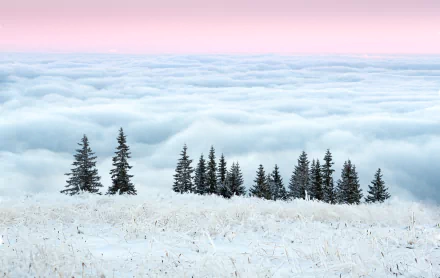 sea of clouds nature cloud HD Desktop Wallpaper | Background Image