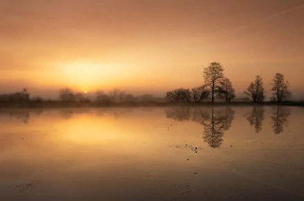 HD PC wallpaper: golden sunrise over a misty Polish river, bare trees silhouetted and mirrored in the calm water — serene nature reflection