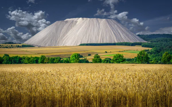 field Germany nature wheat HD Desktop Wallpaper | Background Image