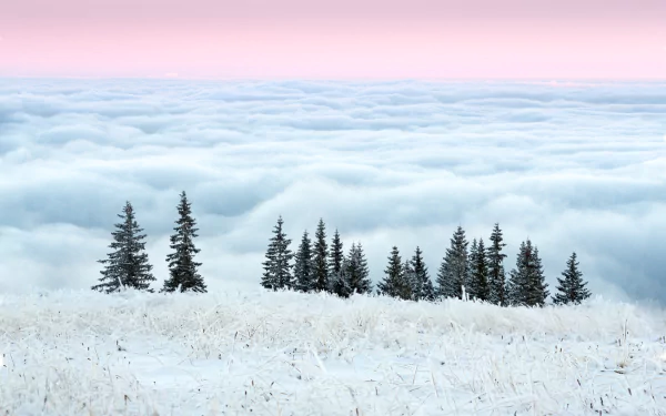 sea of clouds nature cloud HD Desktop Wallpaper | Background Image